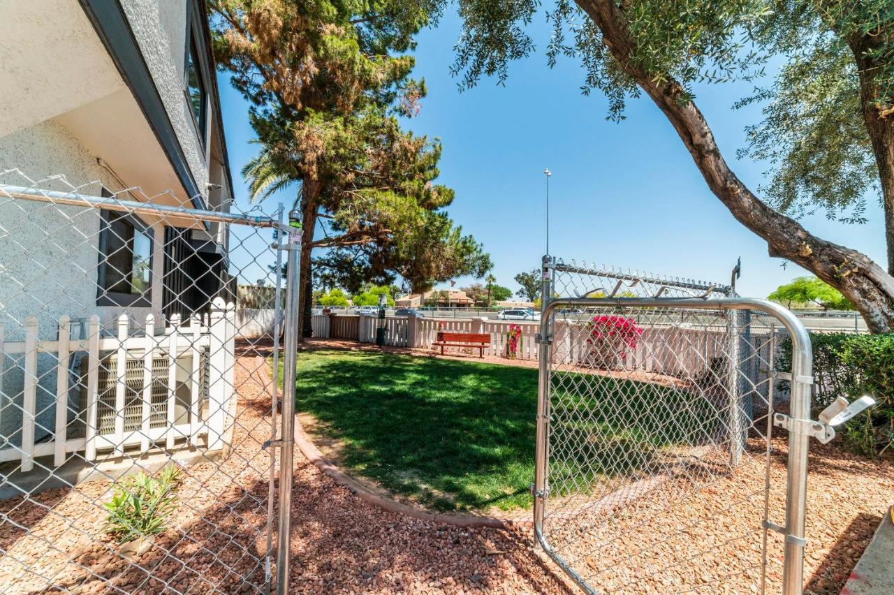 Metro Phx Downstairs Studio Sleeps 4 Ada Accessible Phoenix Eksteriør bilde