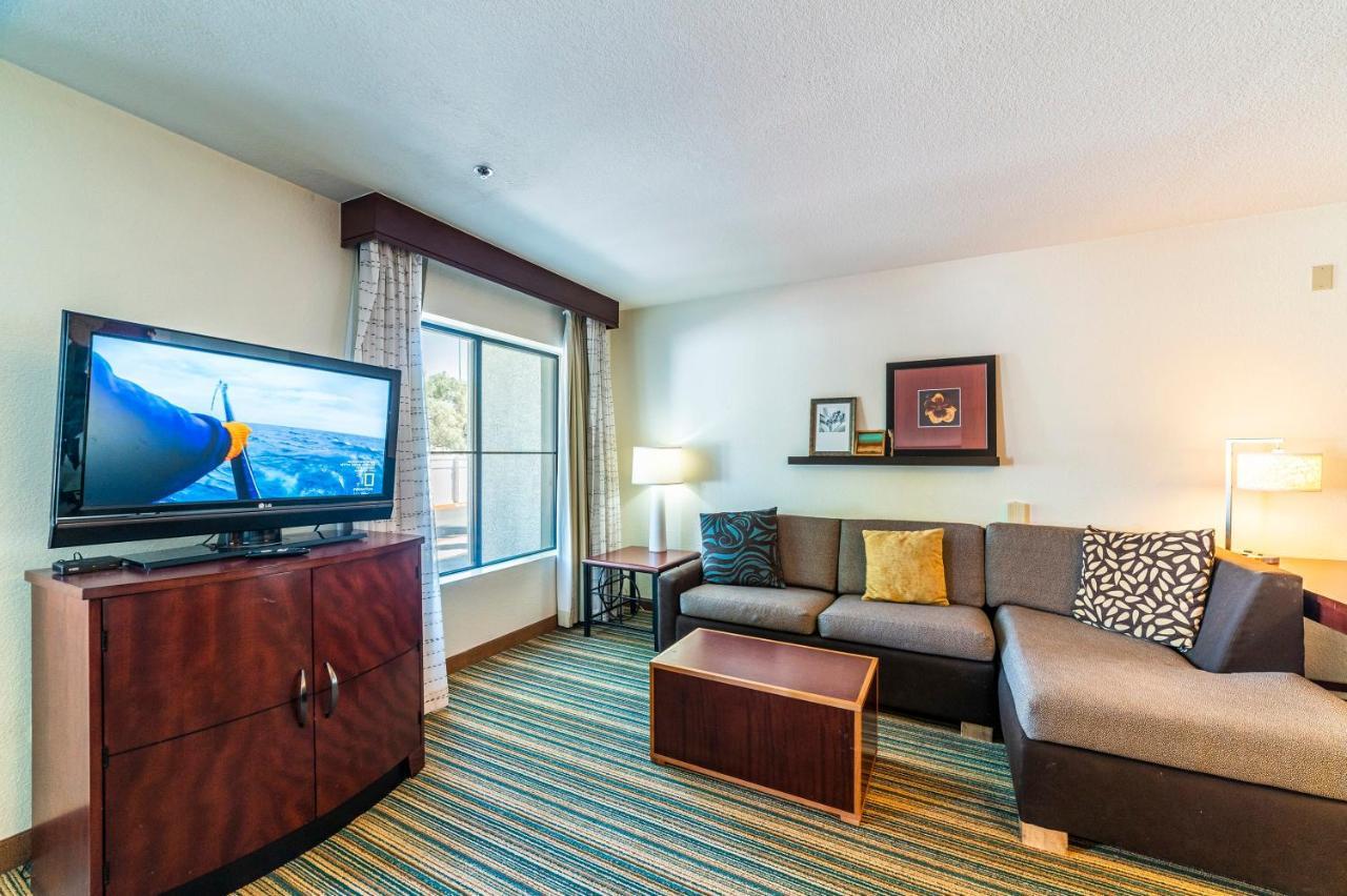 Metro Phx Downstairs Studio Sleeps 4 Ada Accessible Phoenix Eksteriør bilde