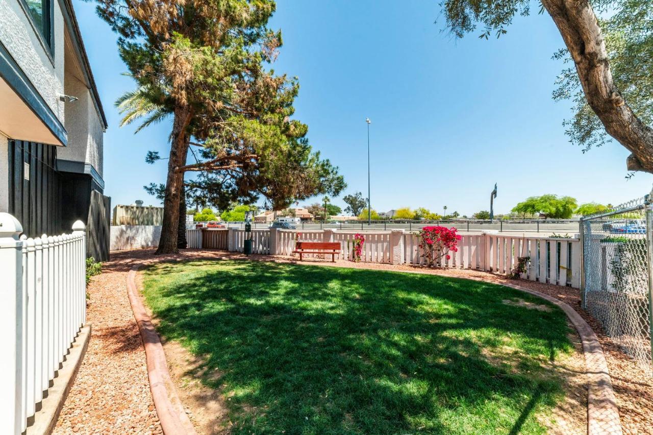 Metro Phx Downstairs Studio Sleeps 4 Ada Accessible Phoenix Eksteriør bilde